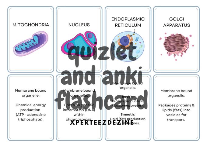 Anki vs Quizlet: Best Study Tool for IT Certification